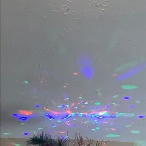 Meet your Posher, Phillip